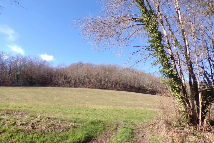 Photos 5 - Touristique - Ensemble immobilier en campagne sur 6 ha