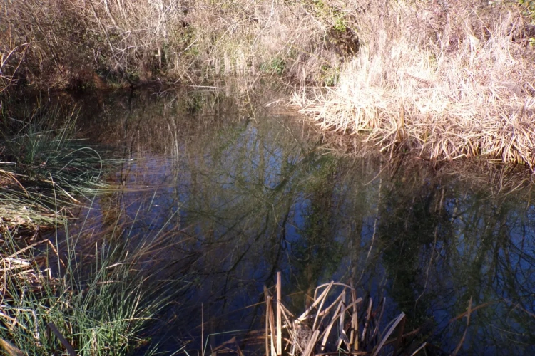 Photos 6 - Touristique - Ensemble immobilier en campagne sur 6 ha