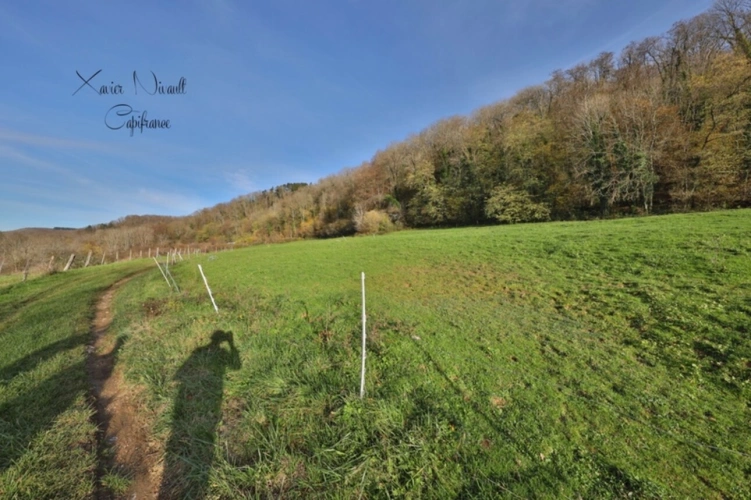 Photos 2 - Equestrian - Propriete à vendre 6 pièces proche de COLIGNY (01)