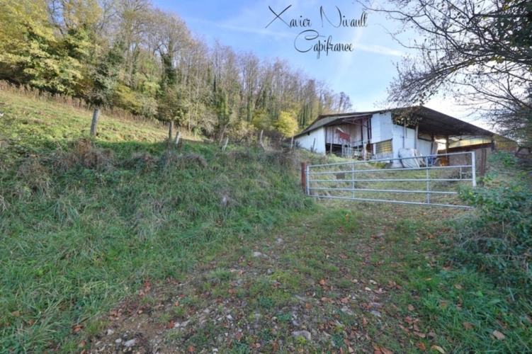 Photos 21 - Equestrian - Propriete à vendre 6 pièces proche de COLIGNY (01)