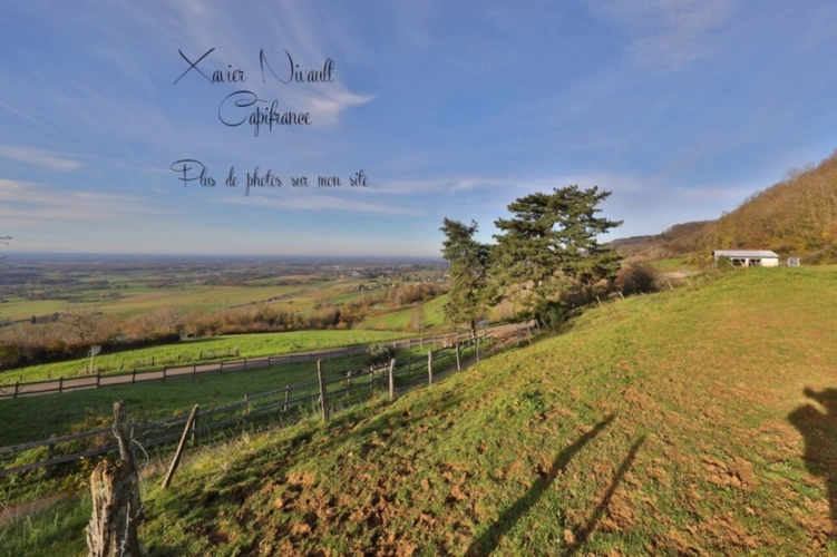 Photos 24 - Equestrian - Propriete à vendre 6 pièces proche de COLIGNY (01)