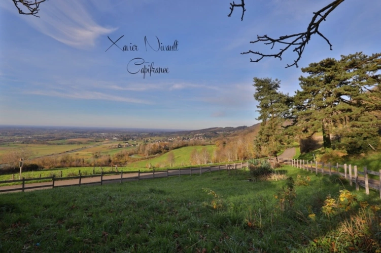 Photos 25 - Equestrian - Propriete à vendre 6 pièces proche de COLIGNY (01)