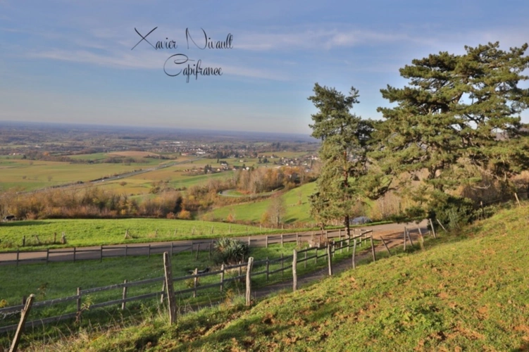 Photos 26 - Equestrian - Propriete à vendre 6 pièces proche de COLIGNY (01)