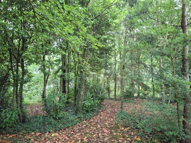 Photos 2 - Rural - Propriété ; Longère à rénover,  hangar + garage de plus de 700m2.jardin bucolique, studio indépendant. Secteur Courgains, Marolles les Braults