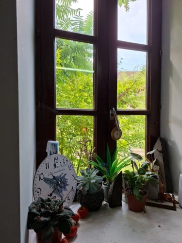 Photos 12 - Rural - Propriété ; Longère à rénover,  hangar + garage de plus de 700m2.jardin bucolique, studio indépendant. Secteur Courgains, Marolles les Braults