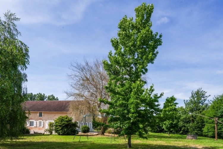 Photos 2 - Rurale - Propriété de Caractère et de charme proche de MONT DE MARSAN (40) - 430 M2 Habitables - Terrain 9000m2 environ