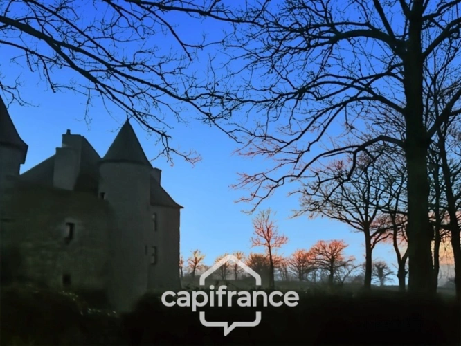 Photos 41 - Prestige - Château à vendre au coeur du bocage bourbonnais sur un parc de 1,5 Ha