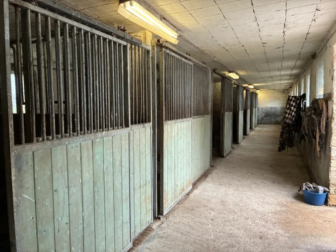 Photos 6 - Équestre - Elegant domaine du XVIIIè avec écurie et 18 ha