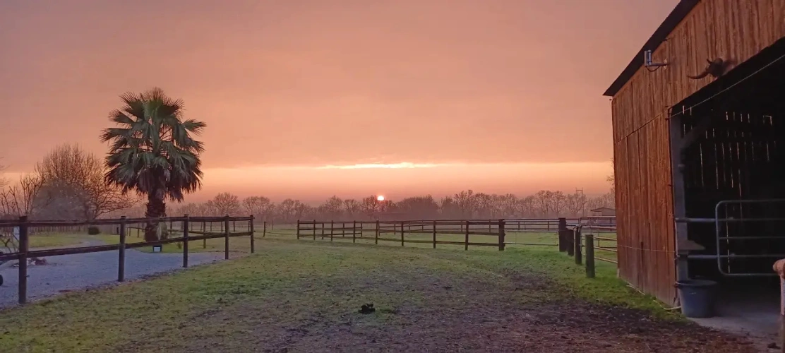 Photos 6 - Équestre - Propriété Équestre Clé en Main, Cadre Idéal proche Ancenis