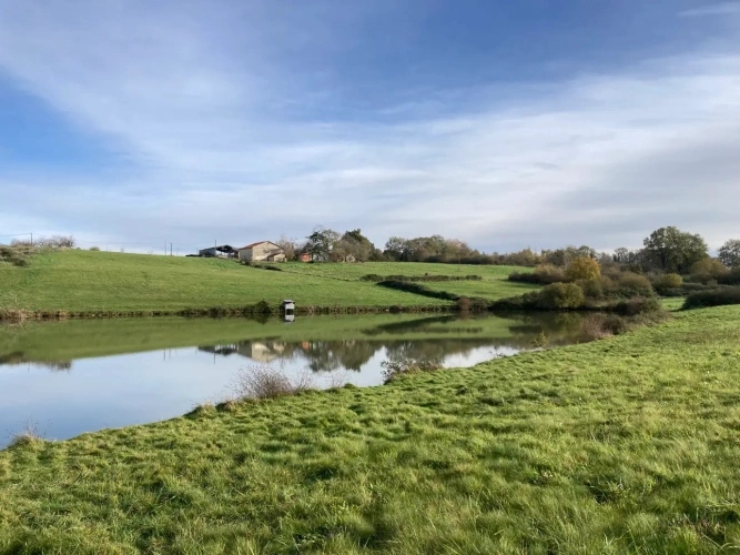 Photos 1 - Équestre - Vends corps de ferme en Dordogne - Sud Bergerac - 27ha d'un seul tenant dont 1 étang d'1ha