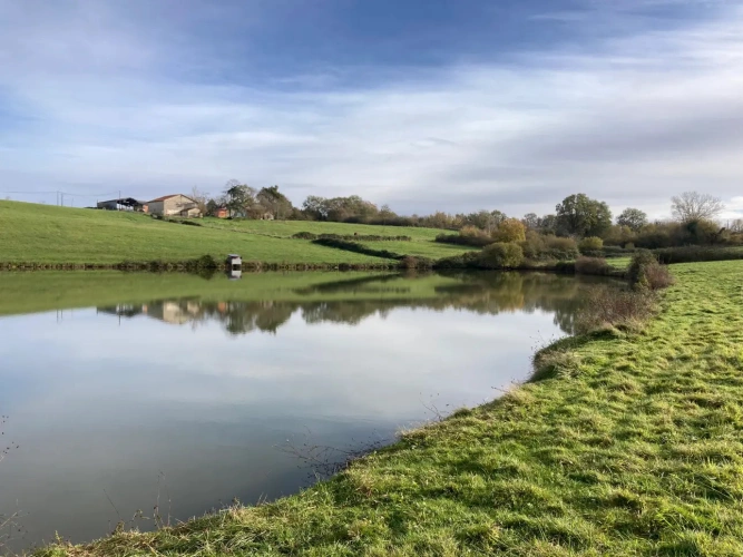 Photos 2 - Équestre - Vends corps de ferme en Dordogne - Sud Bergerac - 27ha d'un seul tenant dont 1 étang d'1ha