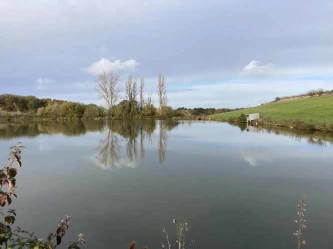 Photos 3 - Équestre - Vends corps de ferme en Dordogne - Sud Bergerac - 27ha d'un seul tenant dont 1 étang d'1ha