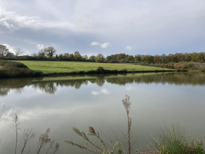 Photos 4 - Équestre - Vends corps de ferme en Dordogne - Sud Bergerac - 27ha d'un seul tenant dont 1 étang d'1ha
