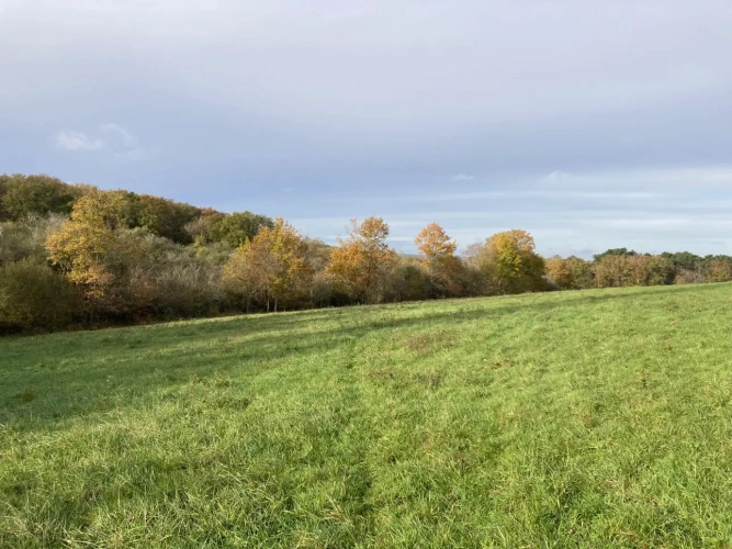 Photos 6 - Équestre - Vends corps de ferme en Dordogne - Sud Bergerac - 27ha d'un seul tenant dont 1 étang d'1ha