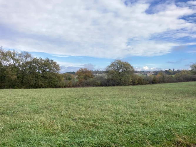 Photos 7 - Équestre - Vends corps de ferme en Dordogne - Sud Bergerac - 27ha d'un seul tenant dont 1 étang d'1ha