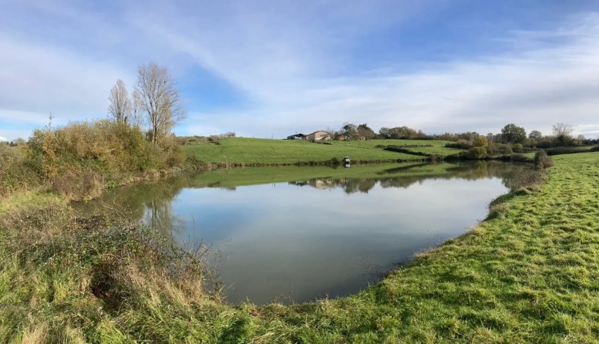 Photos 17 - Équestre - Vends corps de ferme en Dordogne - Sud Bergerac - 27ha d'un seul tenant dont 1 étang d'1ha