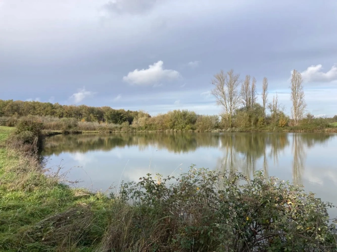 Photos 18 - Équestre - Vends corps de ferme en Dordogne - Sud Bergerac - 27ha d'un seul tenant dont 1 étang d'1ha