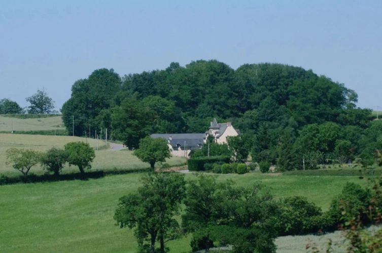 Photos 1 - Rurale - amateur de verdure