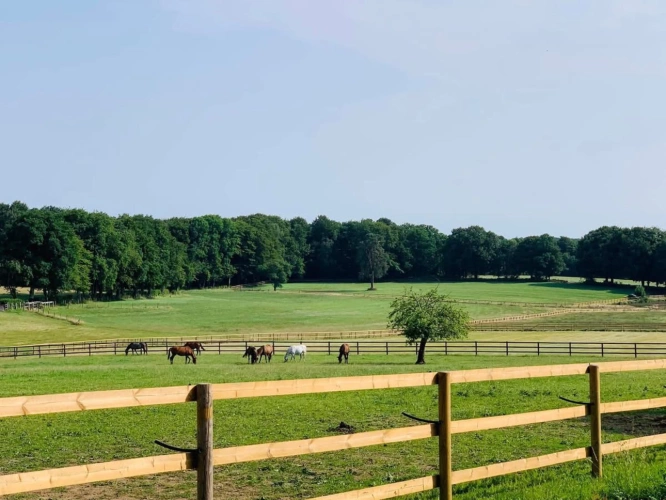 Photos 5 - Équestre - haras d’exception d’environ 67 hectares