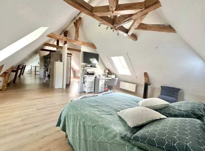 Photos 4 - Equestrian - Propriété