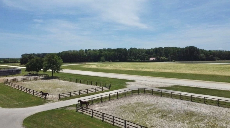 Photos 3 - Touristique - Haras