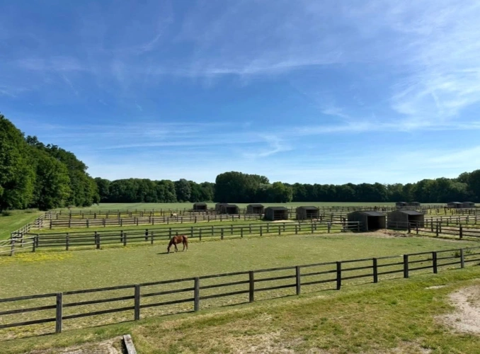 Photos 4 - Touristique - Haras