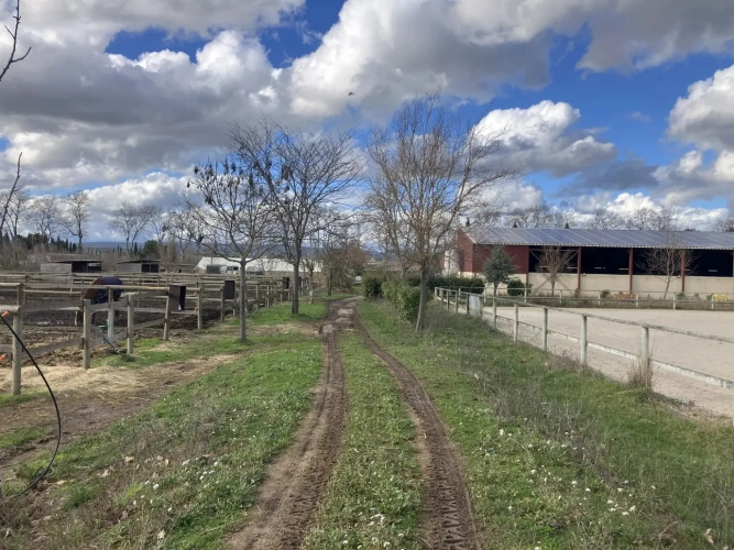 Photos 1 - Équestre - Structure équestre complète pour démarrer une activité