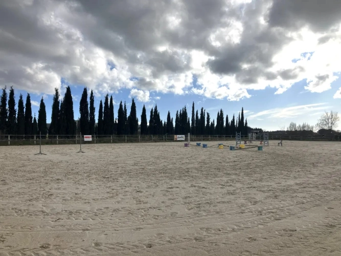 Photos 3 - Équestre - Structure équestre complète pour démarrer une activité