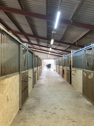 Photos 6 - Équestre - Structure équestre complète pour démarrer une activité