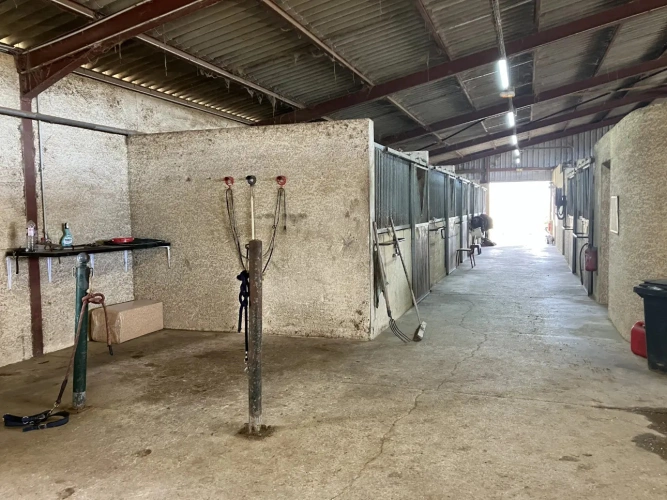 Photos 7 - Équestre - Structure équestre complète pour démarrer une activité