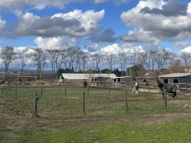 Photos 9 - Équestre - Structure équestre complète pour démarrer une activité