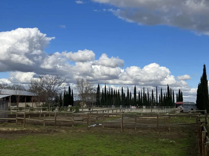 Photos 10 - Équestre - Structure équestre complète pour démarrer une activité