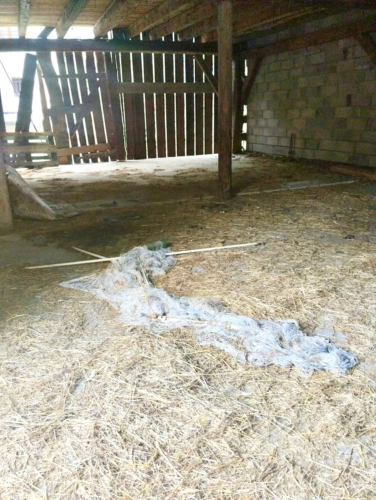 Photos 8 - Rurale - LA BATHIE (73) - GRANGE 150 m2