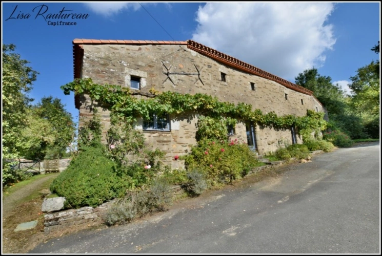 Photos 1 - Tourist - Exceptional estate - CHAVAGNES EN PAILLERS (85) - 2 houses and 2 gîtes with swimming pool
