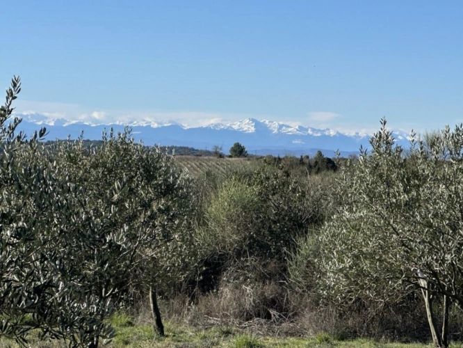 Photos 10 - Rurale - Terrain de loisir