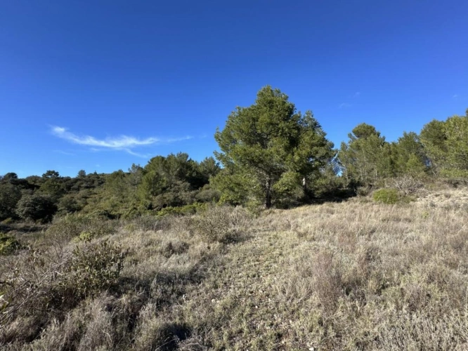 Photos 12 - Rurale - Terrain de loisir