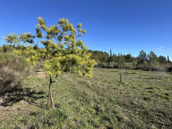 Photos 16 - Rurale - Terrain de loisir