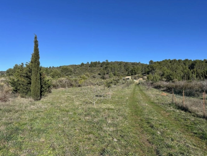 Photos 17 - Rurale - Terrain de loisir