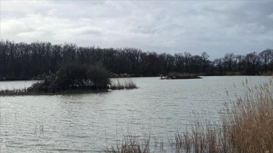 Photos 3 - Forestière - Mezières en Brenne, Etang pour la chasse et la pêche