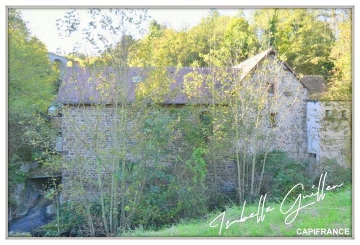 Photos 2 - Touristique - Propriéte à vendre 3 pièces NERIS LES BAINS (03) Grande maison isolée