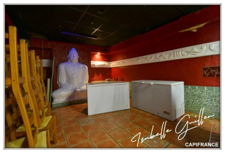 Photos 21 - Touristique - Propriéte à vendre 3 pièces NERIS LES BAINS (03) Grande maison isolée