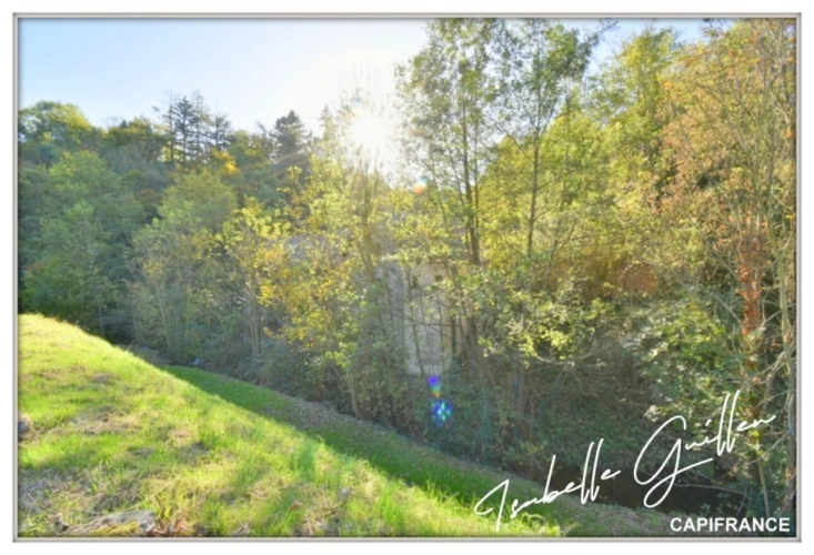 Photos 41 - Touristique - Propriéte à vendre 3 pièces NERIS LES BAINS (03) Grande maison isolée