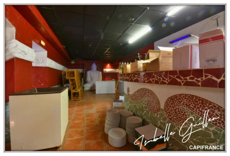 Photos 73 - Touristique - Propriéte à vendre 3 pièces NERIS LES BAINS (03) Grande maison isolée