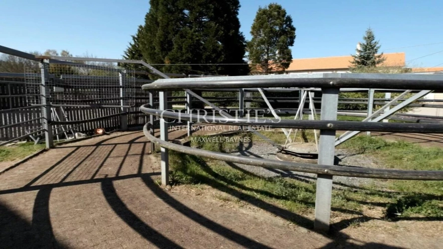 Photos 4 - Équestre - Vente domaine équestre près de Poitiers