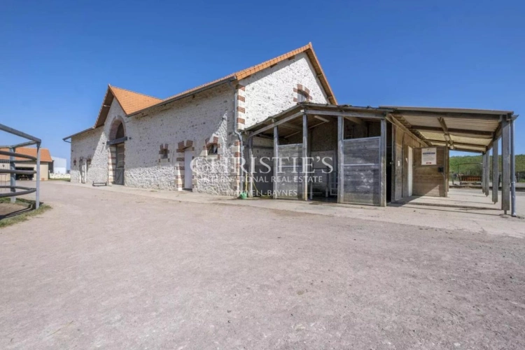 Photos 11 - Équestre - Vente domaine équestre près de Poitiers