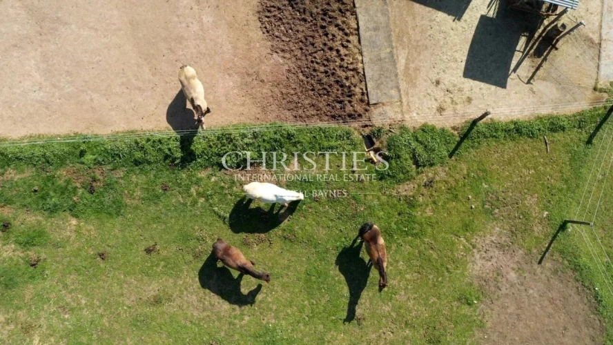 Photos 12 - Équestre - Vente domaine équestre près de Poitiers