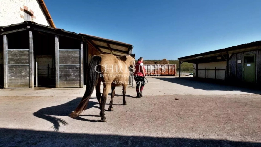 Photos 14 - Équestre - Vente domaine équestre près de Poitiers