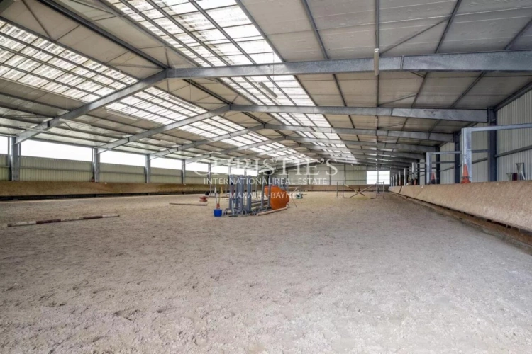 Photos 15 - Équestre - Vente domaine équestre près de Poitiers