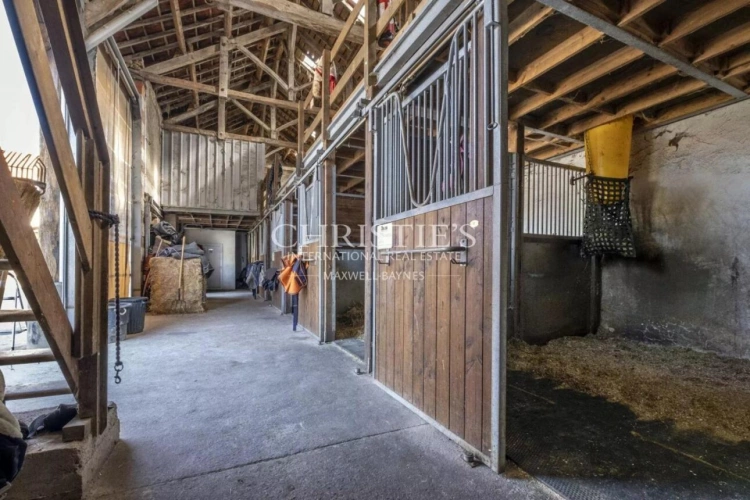 Photos 16 - Équestre - Vente domaine équestre près de Poitiers