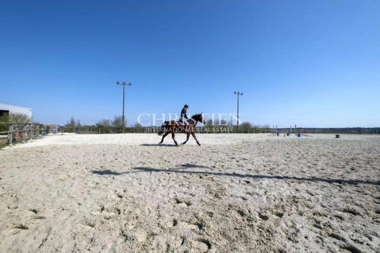 Photos 17 - Équestre - Vente domaine équestre près de Poitiers
